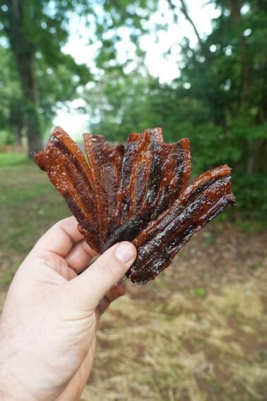 Smoked Bacon Jerky held in a fan fashion.