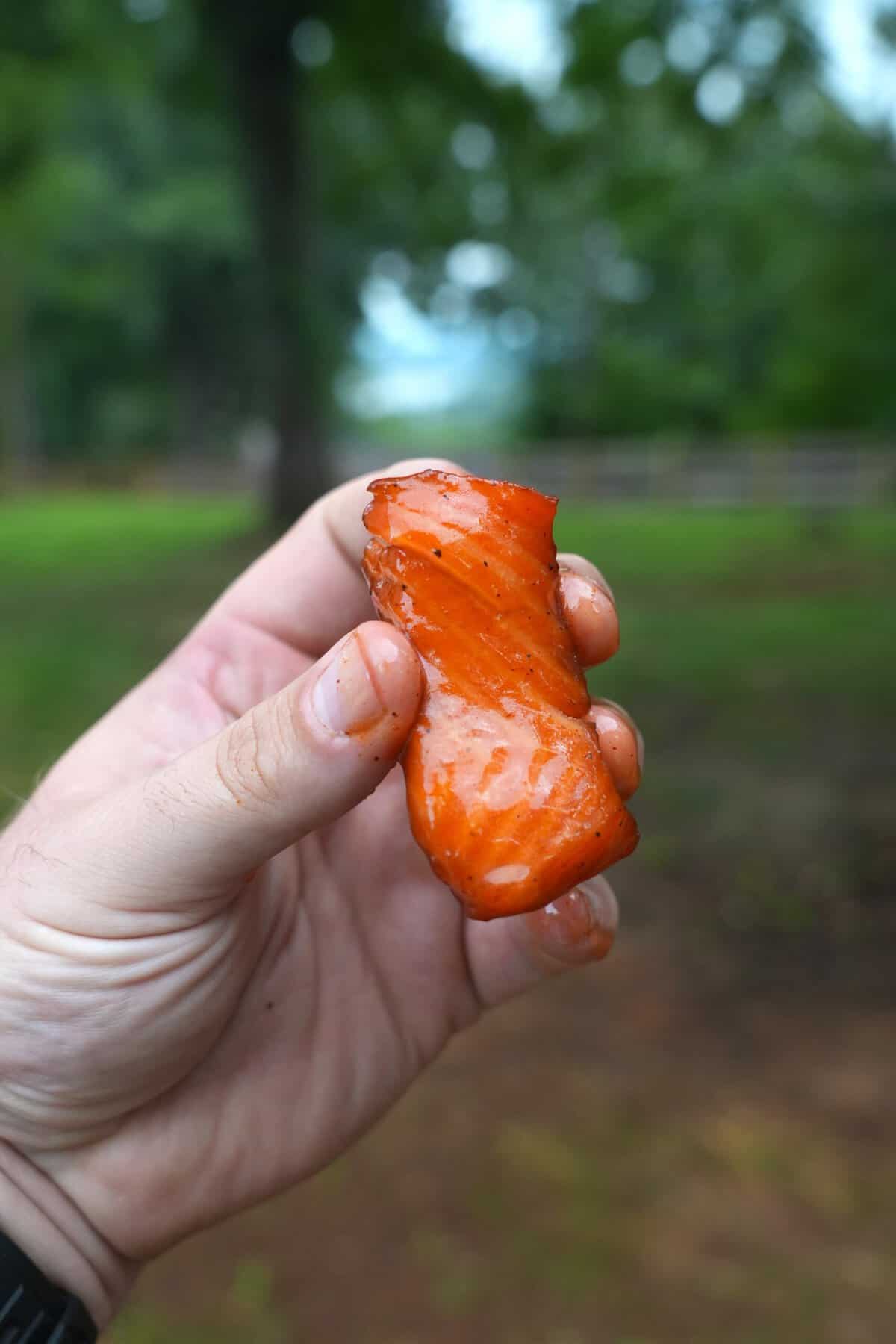 Derek Wolf holding up a cube of smoked glazed salmon, with a wooded outdoor landscape in the background