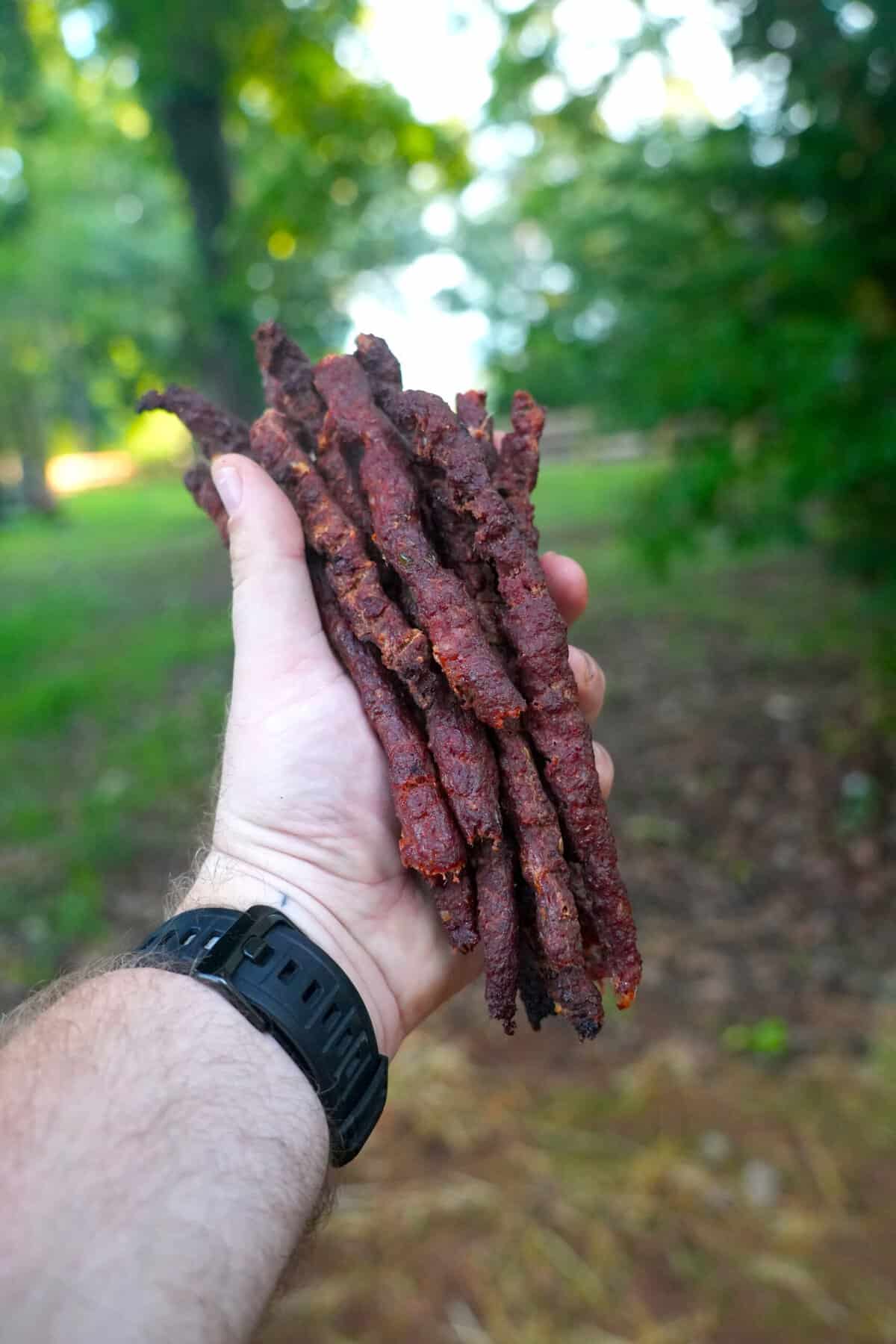 Holding the Spicy Beef Sticks