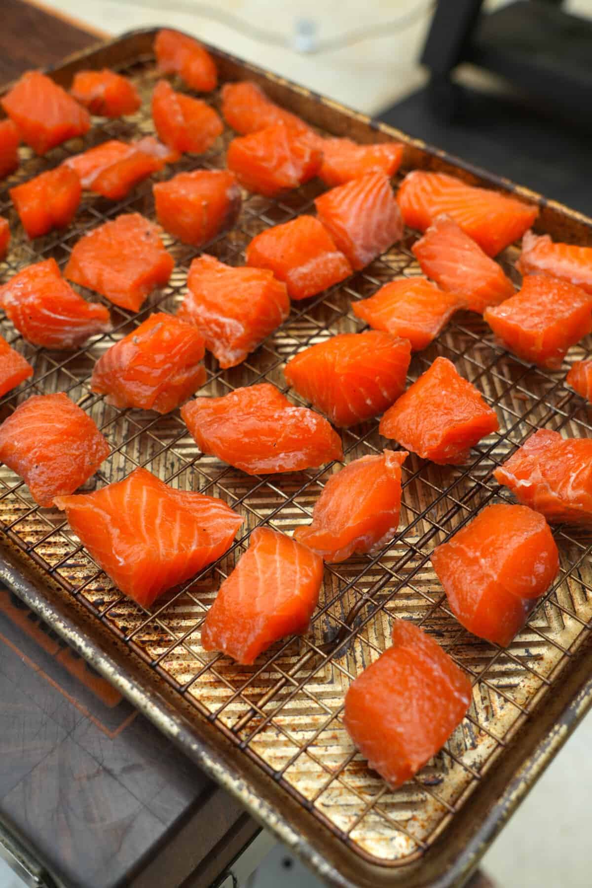 Cubes of maple bourbon salmon on a wire rack set inside a baking sheet, ready for the smoker