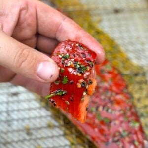 The Candied Salmon is the perfect healthy snack for the whole family.