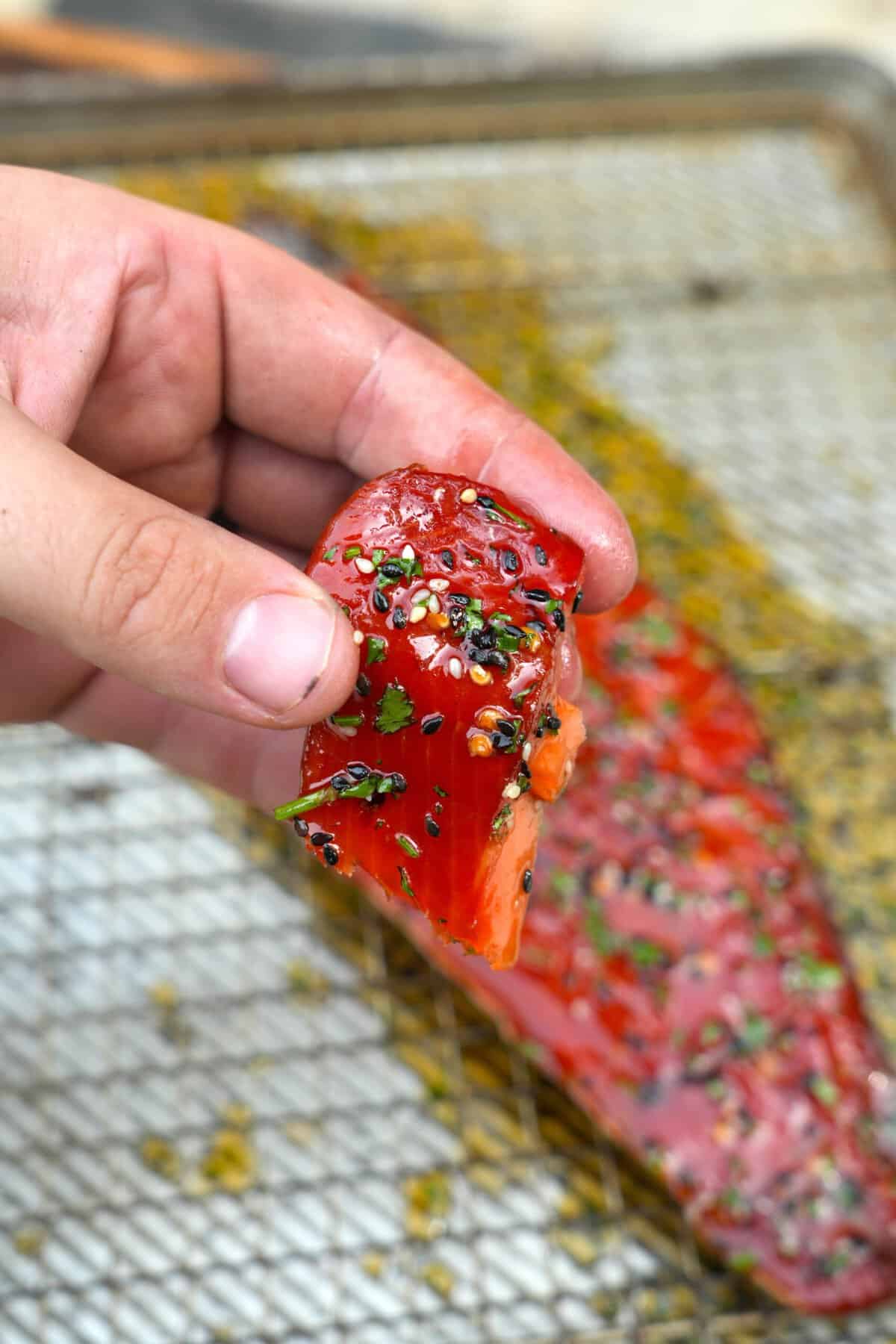The Candied Salmon is the perfect healthy snack for the whole family.