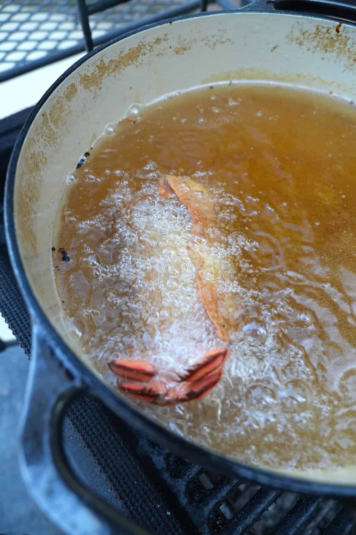 Frying a lobster tail in hot oil in a Dutch oven